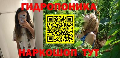 соль ск Ипатово