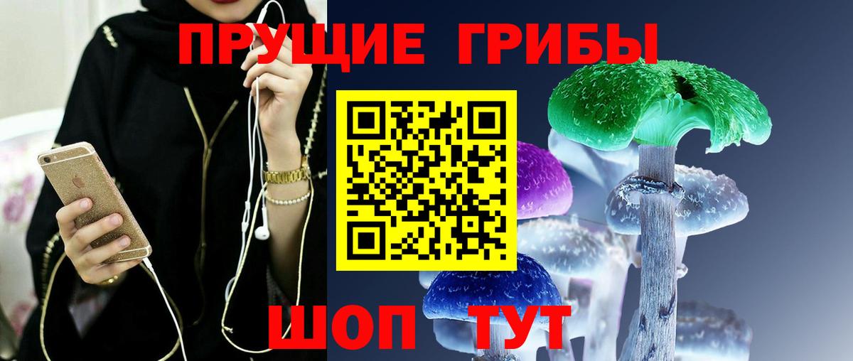 Галлюциногенные грибы Psilocybe  Вход с VPN  закладки  Ялуторовск 